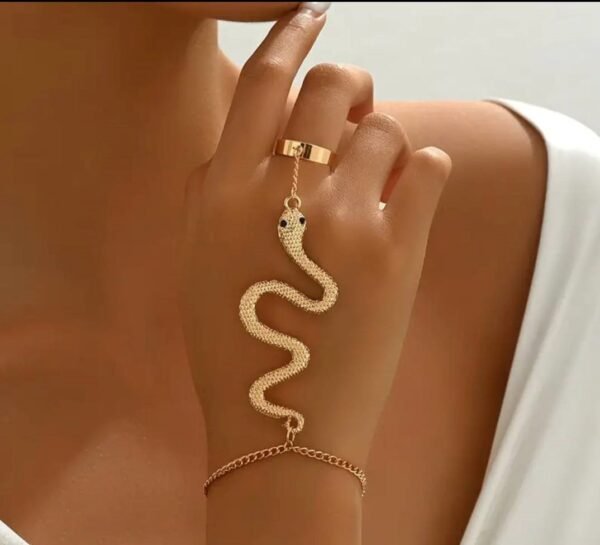 483532132_122140375136518320_2482402675625588598_n Bracelet serpent avec sa bague , une touche rétro et originale