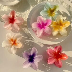 Pinces à Cheveux Dégradées