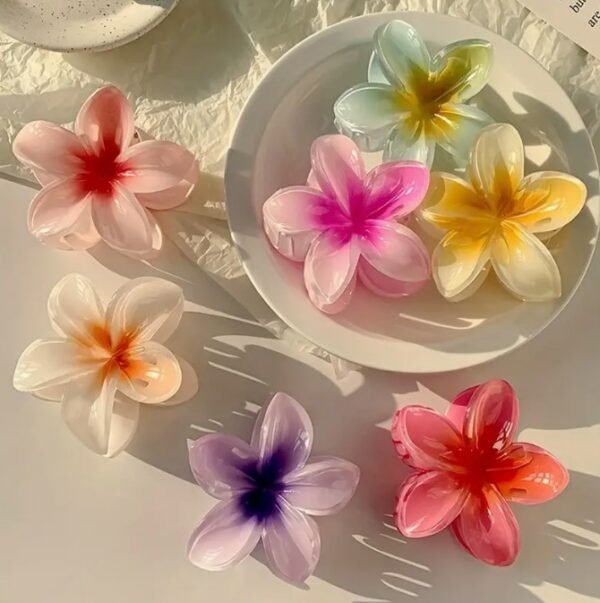 Capture d’écran 2025-09-08 115948 Pinces à Cheveux Dégradées