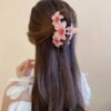 Capture d’écran 2025-09-08 120039 Pinces à Cheveux Dégradées