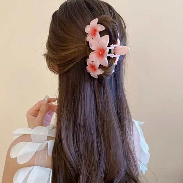 Capture d’écran 2025-09-08 120039 Pinces à Cheveux Dégradées