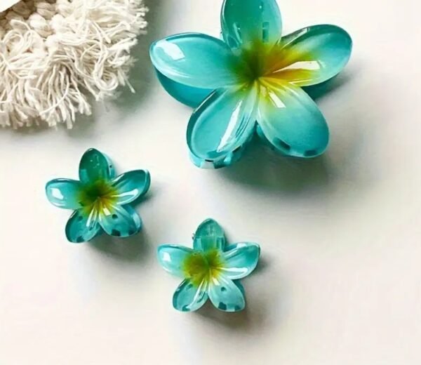 Capture d’écran 2025-09-08 120128 Pinces à Cheveux Dégradées